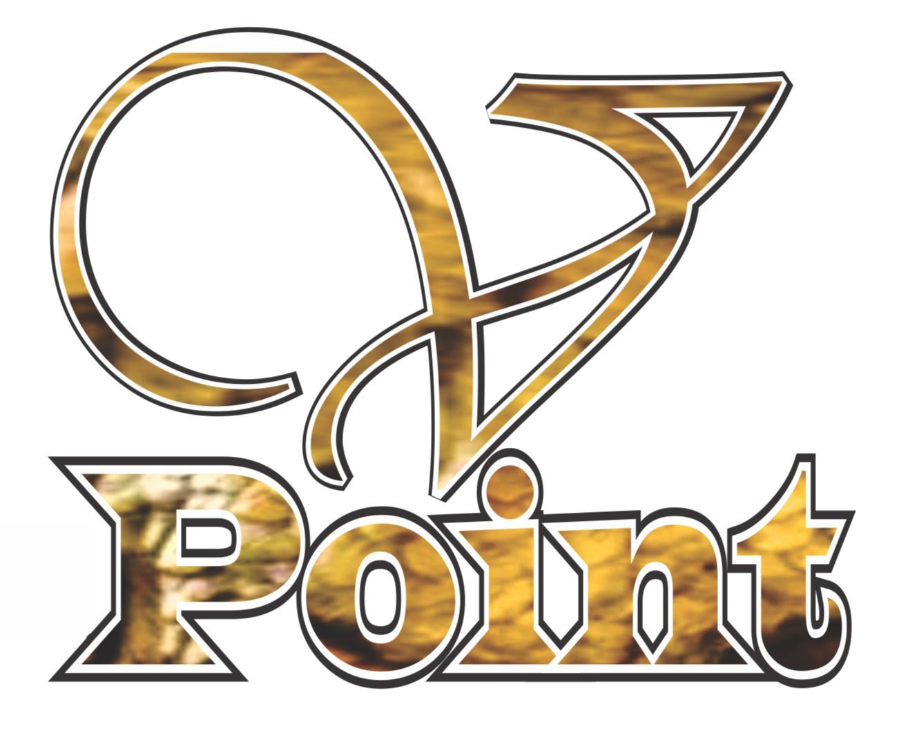 VPOINT DATA